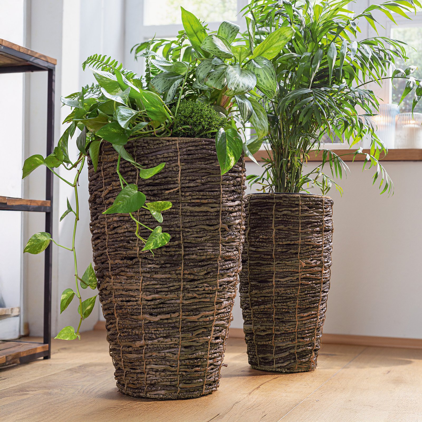 Vazono apvalkalas "Coconut", 2 vnt. rinkinys