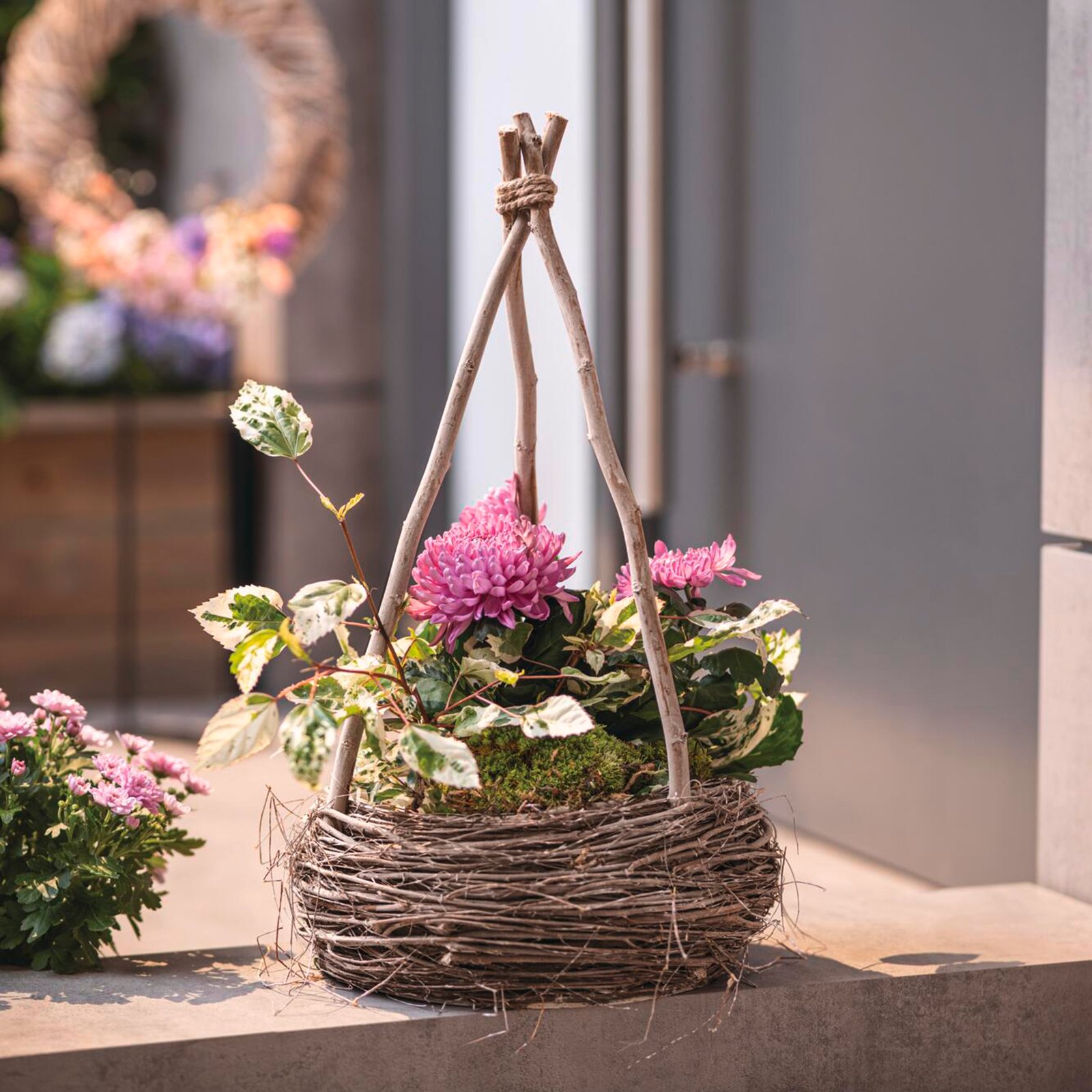 Vazonas "Piramidė vijokliams"