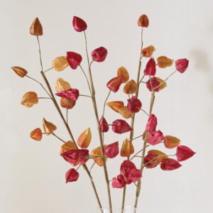 Dekoratyvinė šakelė "Physalis", 2 vnt. rinkinys