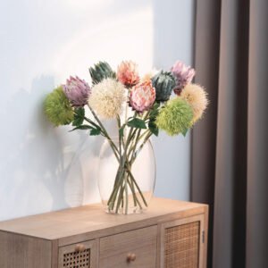 Gėlė "Protea", 3 vnt. rinkinys